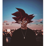 Zip's Development Group