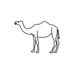 dromedary party