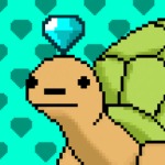 Diamond Turtle Studio