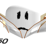 WHISPERSTURNTOVOICES