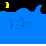 Shark _ People