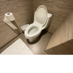 Bacon Sandwhich With Cheese