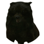 sam wolf hunting laurent