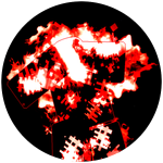 T H E . V O I C E S .