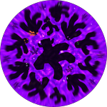 Jumping Dimensions [LIVE EVENT]