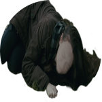 bree tanner on the ground