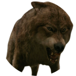 jake wolf defending bella from paul wolf