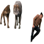 jacobs pack after jacob imprints