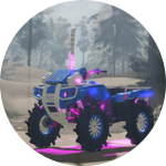 Custom Honda Rubicon