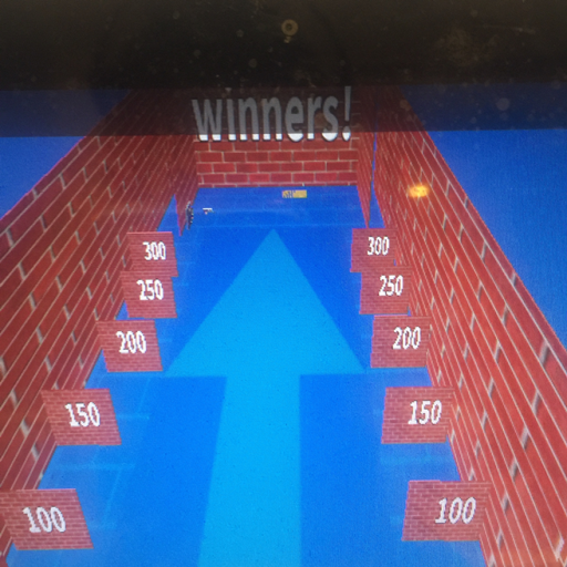 the game (BeamNG drive simulator)