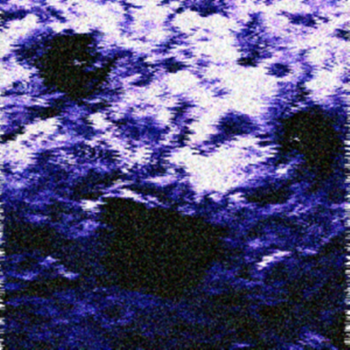 Piggy animation (KITTY KAT!)