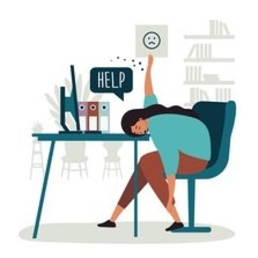 Car Dealer and Custom Demo