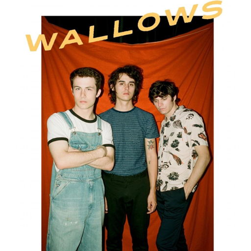 Wallows - COLE PRES TON SUPREMACY!!