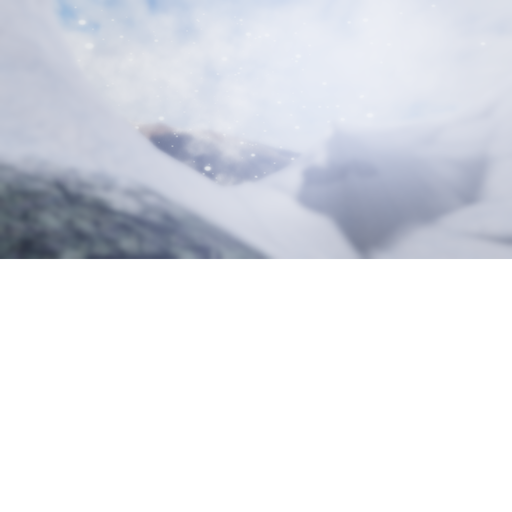 Snowy Moutin *Showcase*