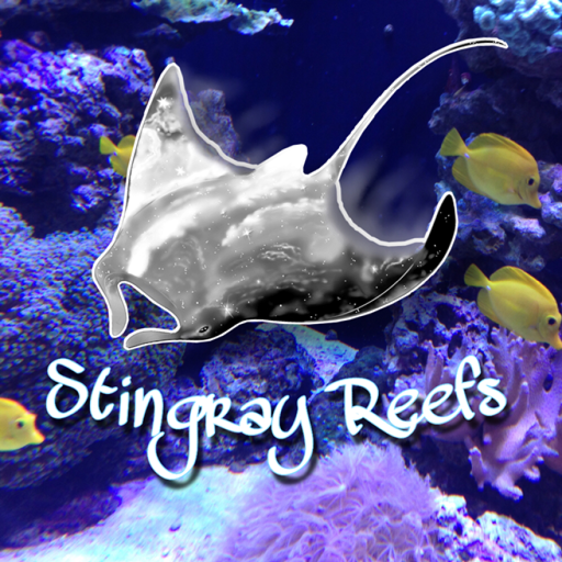 🐠Stingray Reefs Aquarium🐬