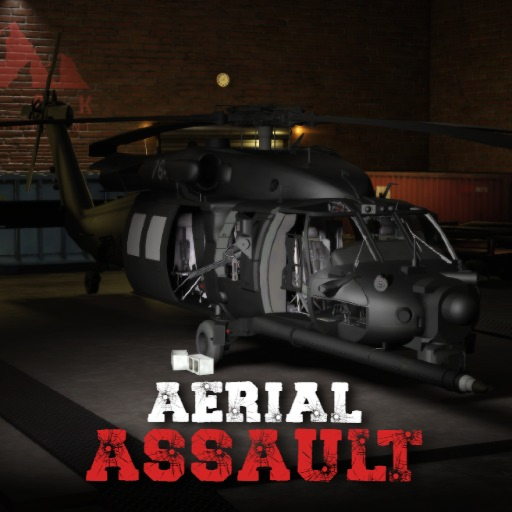 Aerial Assault
