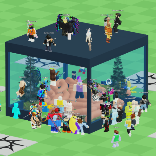 stare at rdite in a zoo