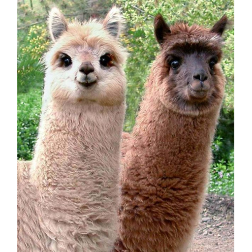 get your makeup done then survive  red dress girl