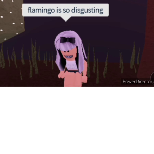 I HATE FLAMINGO