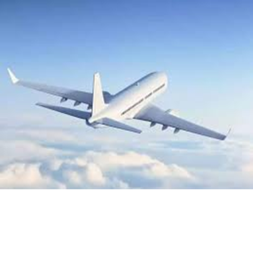 Dallas Texas Airport Rp