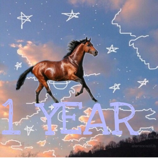 Pink Almond Stables Show Area