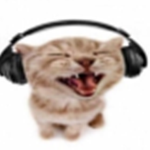 take a photo with rapper cat