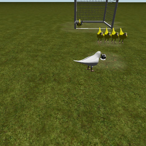 Free kick kullanan cicikuş