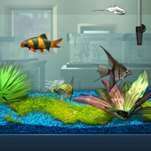AquaFish2 Aquarium fish tank experience