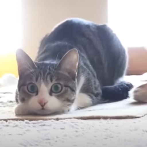 Tower of Wiggly Influence