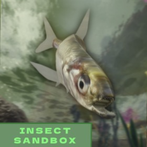 Insect Sandbox