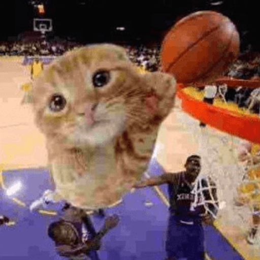 Toño foxmichin cculpa a los de las funerarias