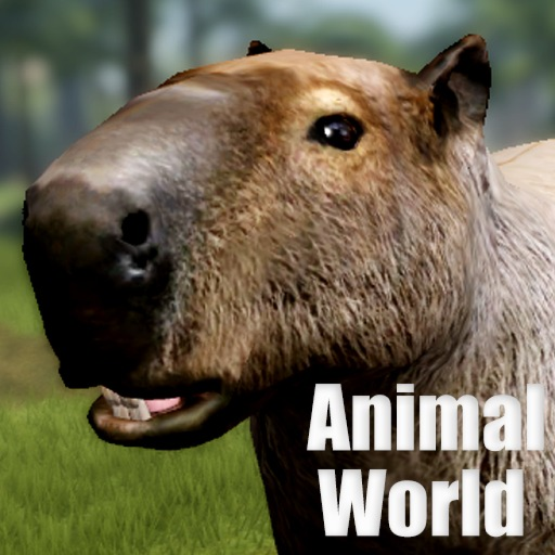 Animal World