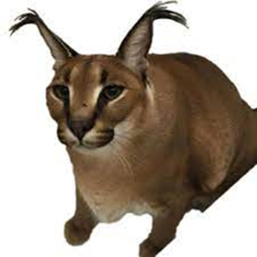 Survive the floppa killer