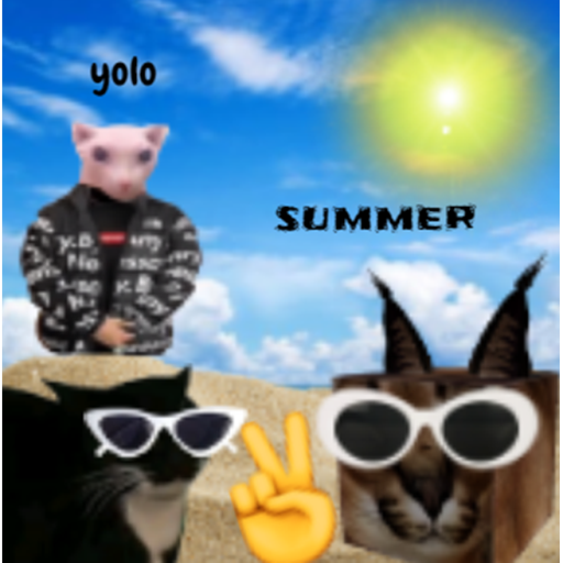 DrippedFloppa's Super Cool Hangout! (TM)