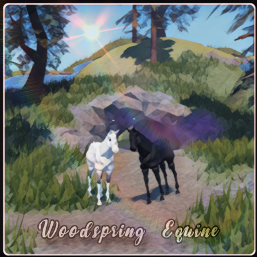 [NEW HORSES] 🤍 Woodspring Stables 🤍