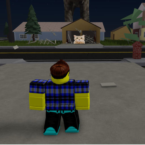 get chased by the cat