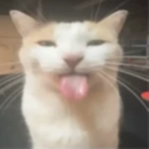 game for silly goofsters