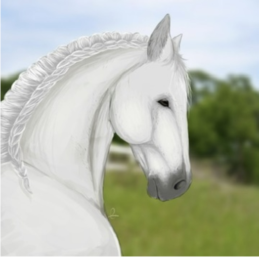 Thunder Rose Stables (Out dated)