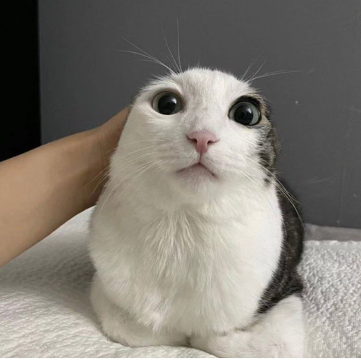 Spire of Harrowing Ascension