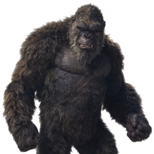 Kong