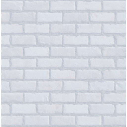 watch paint dry for 10 hours