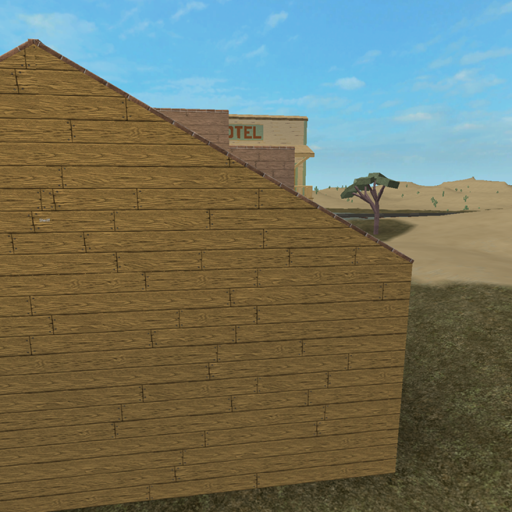 Life in the Wild West