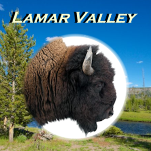 Lamar Valley