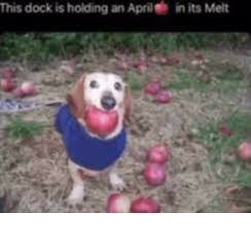 This dock is holding an April🍎 in its Melt