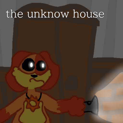 The Unknow House