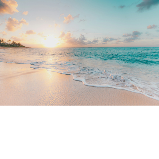 a life in madagascar