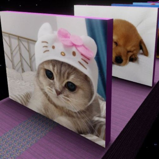 Guess The Animal!🐻