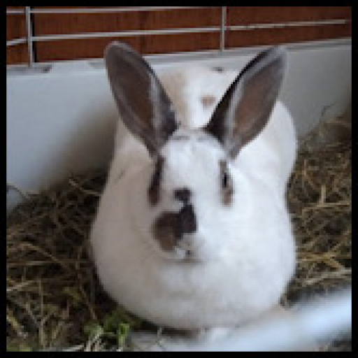 Other Slungus Village