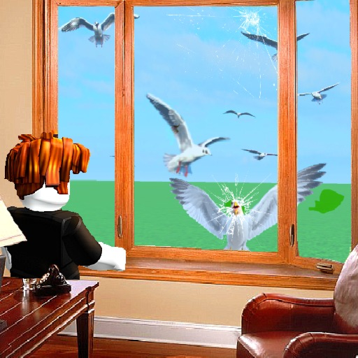 Dum Birds Survival (testing)