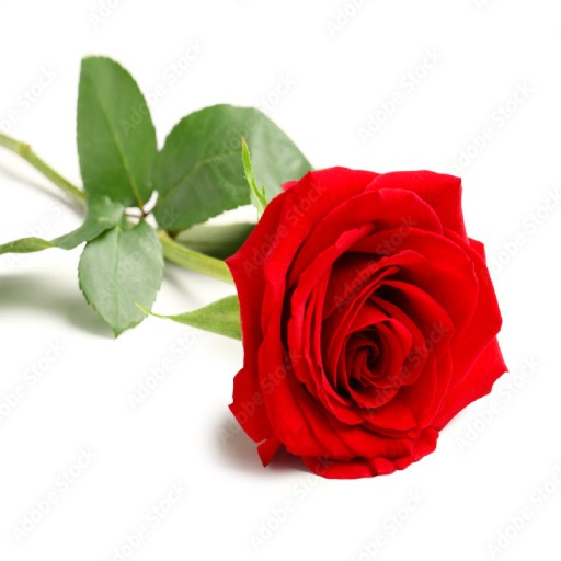 Rest in Peace, Kobe Bryant (READ DESC)